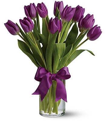 Passionate Purple Tulips from Rees Flowers & Gifts in Gahanna, OH